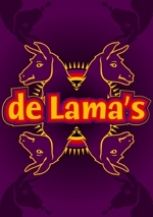 Lama Workshop in Alkmaar