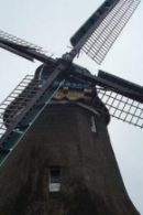 Vintage Holland Tour
