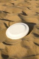Discgolf Frisbee op het Strand – Egmond aan Zee