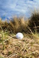Duingolf bij het Strand